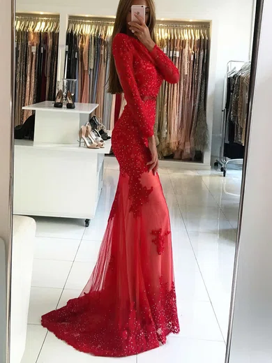 Sheath/Column Scoop Neck Tulle Sweep Train Appliques Lace Prom Dresses #Favs020104976