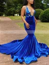 Trumpet/Mermaid V-neck Velvet Court Train Appliques Lace Prom Dresses #Favs020108849
